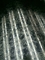 Z180 walzte hochfeste Stahlplatten-galvanisierte Stahlspulen SPCC SPCD 0.61*1250mm kalt