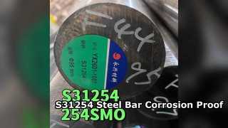 S31254 SMO254 Edelstahlstange 300 mm